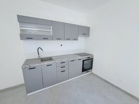 Krásný byt 1+1 45 m2 na pronájem na Borech v Mánesově ulici