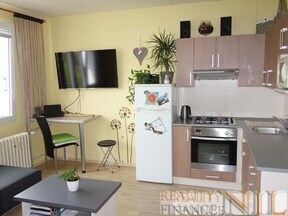 Nabízíme k pronájmu pěkný byt 1+1, 38 m2, po kompletní rekonstrukci